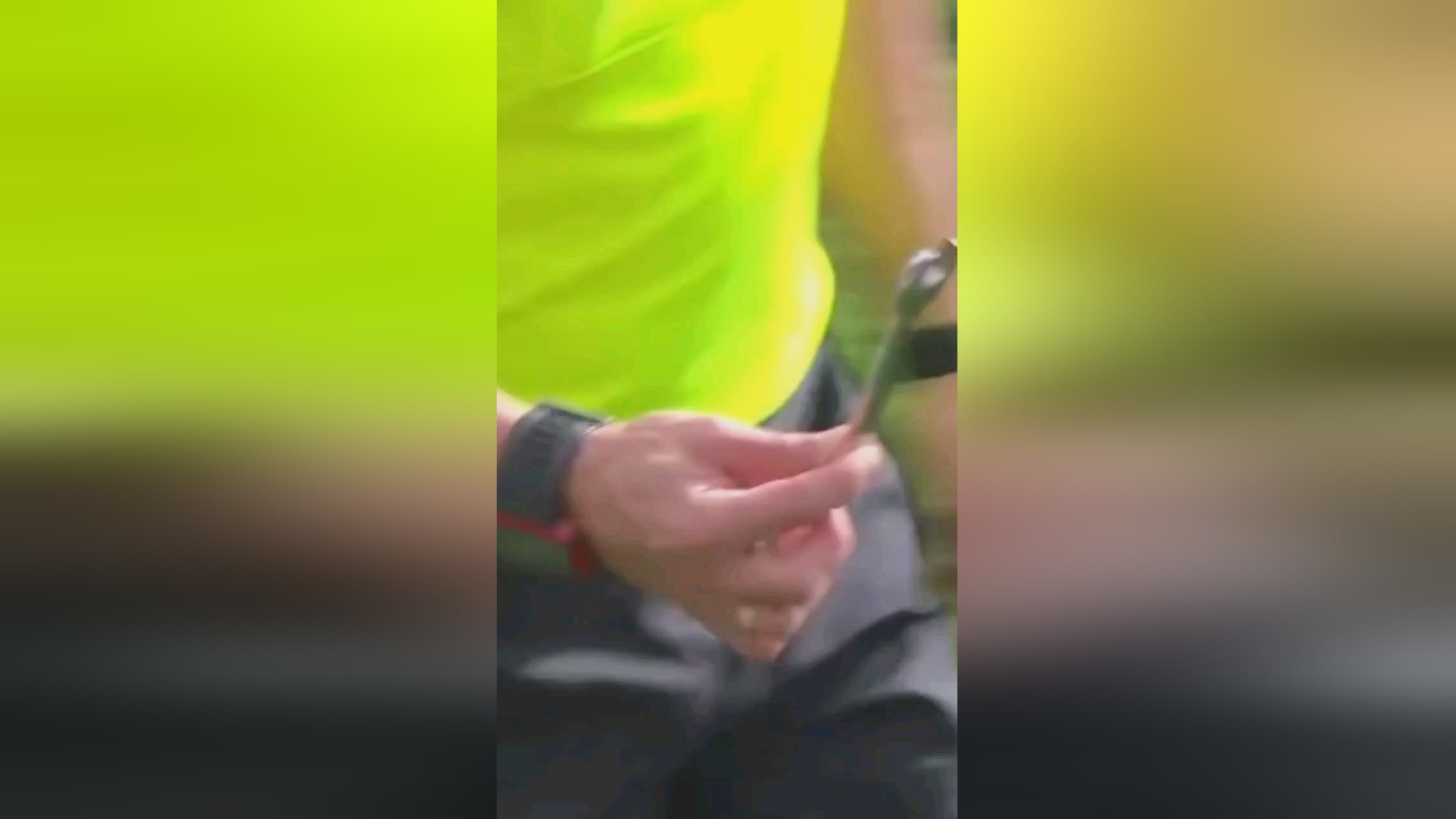 媒得以观